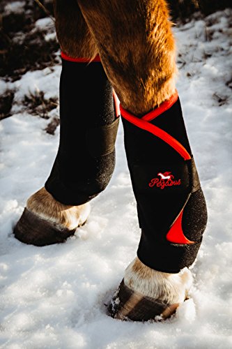 Bluegate Hobby Pegasus Airboots ~ Revolutionary NEW Protective Horse Boots + Carry Bag and Microfiber Mitt. (Introductory) (Red) - Thumbnail 2