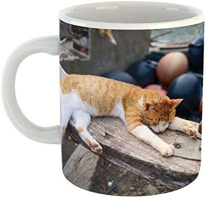 Westlake Photography - Coffee Cup Mug - Cat Small - Modern Picture Photography Artwork Home Office Birthday Gift - 11oz (69m 4d3)