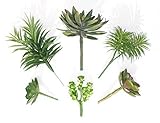 Set of 6 Different Succulents, Artificial Cactus Plants by Neuhaus Decor