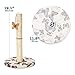 Cat Scratching Post with Hanging Butterfly Toy