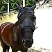 Cube Tech Horse Fly Mask with Ears Nose and Hair Opening- Good Vision Soft and Breathable, All Around Barn, Stable, Pasture, Trail Riding Fly and Sun Protection Fly Masks (Horse, Black)