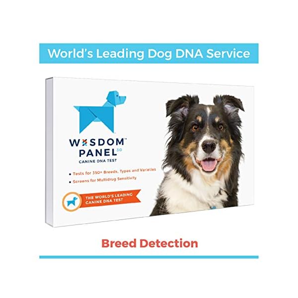 wisdom panel 3.0 breed