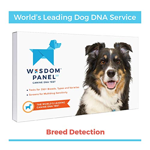 Wisdom Panel 3.0 Canine DNA Test - Dog DNA Test Kit for Breed and Ancestry Information