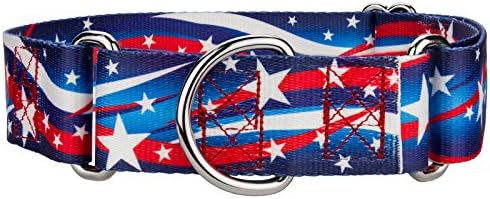 Country Brook Petz - Star Spangled Martingale Dog Collar - Americana Collection with 4 Patriotic Designs (1 1/2 Inch, Large)