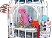 Little Live Pets S2 Bird with Cage, Krissy Crystal