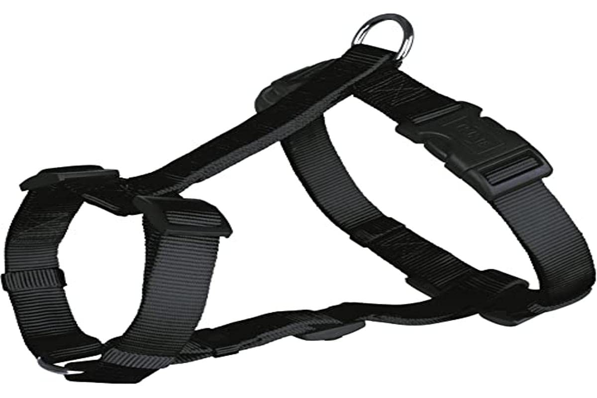 Black H Hardwearing Harness for dogs