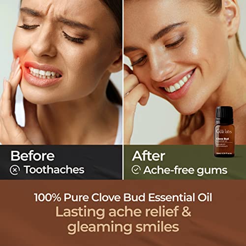 Gya Labs Clove Oil for Oral Care 100 Natural Clove Essential Oil for