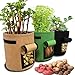 Ouyilu Garden Plant Bag Vegetables Growing Container for Potato Cultivation Grow Bagsthumb 1
