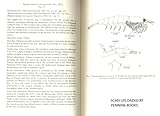 Image de Euphausiid, Stomatopod and Leptostracan Crustaceans: Keys and Notes for the Identification of the Species (Synopses of the British Fauna)