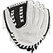 Rawlings Liberty Advanced Softball Glove Series