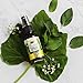 Clean Mint All Natural Breath Spray - Alcohol and GMO Free - by The Dirt