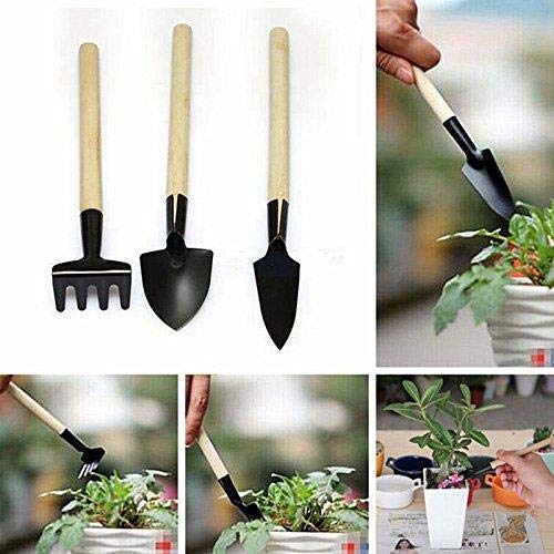 Eshylala 5 PCS 24 Cells Seedling Starter Pots Seeds Grow Box Case with Humidity Dome and Base & 3 Pcs Mini Garden Tools Cultivating and Weeding Flowers and Vegetable Seedlings