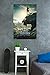 Trends International Wall Poster One Sheet Black Panther, 22.375