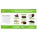 Amrita Nut Free Chocolate Brownie Vegan Protein Bars (12 Count) |15g Plant-Based Protein Bar | Peanut-Free, Gluten Free, and Dairy-Free | No Added Sugar, High Fiber, Healthy School-Safe Snacks