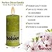 Bolsius Rustic Set of 6 Unscented Pillar Candles 2.75X5 Inch Lime Home Decoration Dripless Cotton Wick Dinner Candles Prefect for Parties, Restaurant, Spa, Church, Anniversary, (130x68mm)
