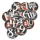 Baby Monthly Stickers - Milestone Month Sticker for Onesie or Scrapbook - 12 Woodland Forest Animals 4
