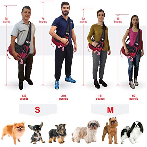 beef trachea glucosamine