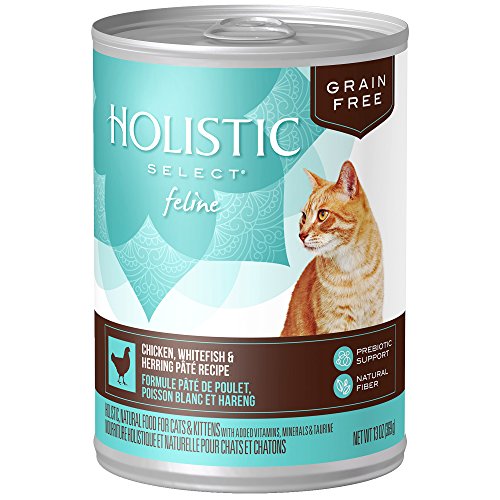 Buy Holistic Select Natural Wet Grain Free Canned Cat Food, Chicken