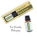 Simply Earth Pine Essential Oil 15 ml, 100% Pure Therapeutic Grade