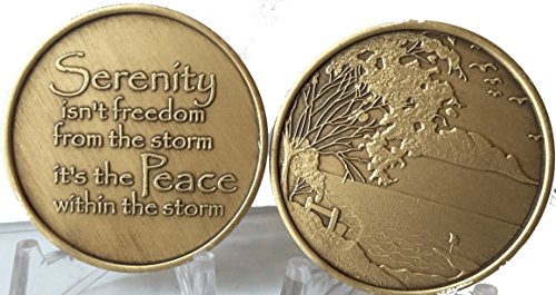 Footprints In The Sand - Serenity Peace Within The Storm Bronze Medallion Chip Set