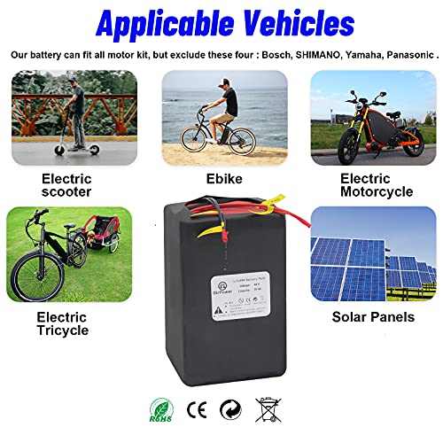 48V 30AH Ebike LiFePO4 Battery Electric Bike Battery Pack with 5A