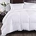 Mellanni Goose Down Alternative Comforter - Soft and Comfy - HIGHEST QUALITY - Perfect as Duvet Insert, Blanket, Throw, Bedspread or Coverlet - Full / Queen, White