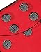Ladybird Ladybug Wings