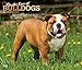 For the Love of Bulldogs 2020 14 x 12 Inch Monthly Deluxe Wall Calendar with Foil Stamped Cover, Ani by 