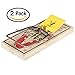 Victor rat Traps M326 (Pack of 2)