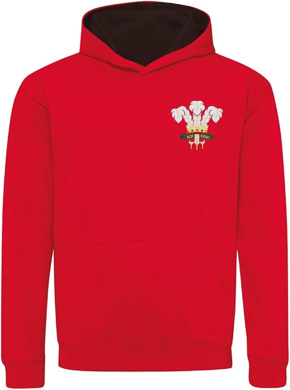 Kids Retro Wales Welsh Crest Rugby Hoodie Amazon.co.uk Clothing