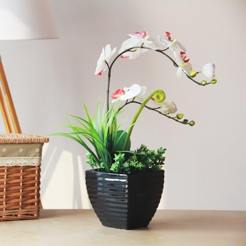 XPHOPOQ Japanese Style Orchid Balcony Butterfly Orchid Real Touch Wedding Flower Floral Christmas Party White