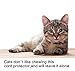 Alex Tech 10ft - 1/8 inch Cord Protector Wire Loom Tubing Cable Sleeve Split Sleeving For USB Cable Power Cord Audio Video Cable – Protect Cat From Chewing Cords - Black