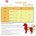 KYEESE Sports Reusable Female Dogs Diapers Breathable 3 Pack Dog Wraps with Inside Pocket Waist 21''-27'' for Medium Dogs