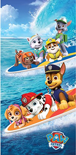 beach paw patrol