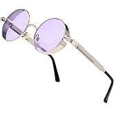 HJSTES Vintage Round Steampunk Sunglasses for Women Men Circle Gothic Glasses Retro Metal Frame