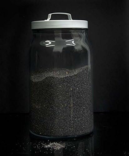 Semillas de Amapola a granel - 100 grs: Amazon.es: Alimentación y ...