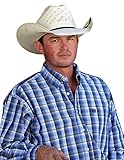 Cinch Men's Royal Blue Plaid Western Shirt - Mtw1104479