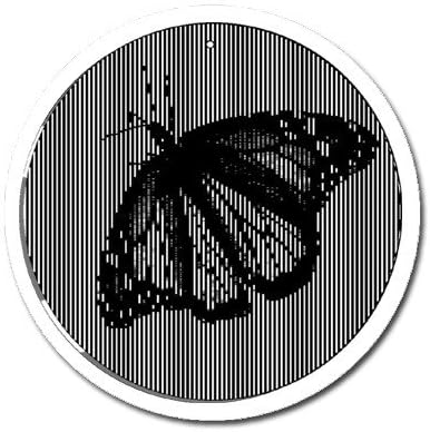 Butterfly - Medium 5.5 Inch CineSpinner - Animated Suncatcher