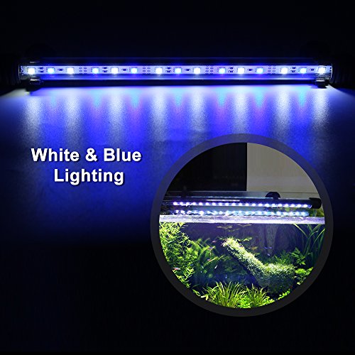 GOESWELL LED Aquarium Light, Aquarium LED Lighting for Fish Tanks White and Blue LEDs Fixture Underwater Submersible Fish Tank Lamp (11.41 inch) - Thumbnail 5