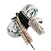 Unigear Gun Bore Cleaner Barrel Snake for Rifle Pistol Shotgun, Brushes Included (Choose Your Caliber) (12 GA Gauge (New))