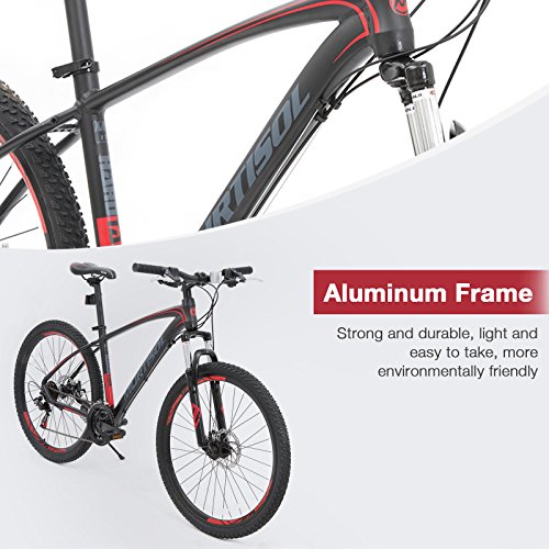 murtisol mountain bike review