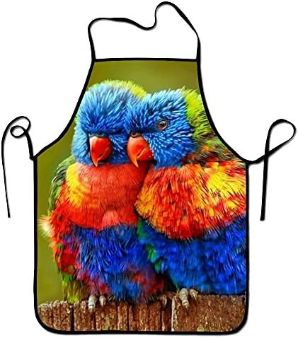 PANGERA Bird Close Up Colorful Lorikeet Lovebird Parrot Sweetheart Chef Kitchen Apron Waiteress Stitched Edges