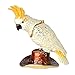 Cockatiel Trinket Jewelry Ring Box Crystals Jeweled Cockatoo Bird Figurine Gifts