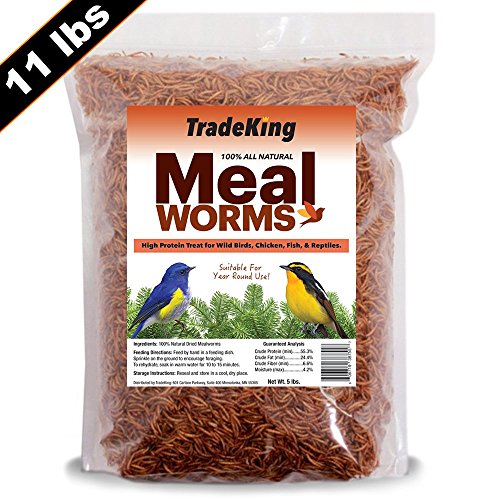 Top 10 best meal worms 11 lb 2018