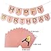 Pink and Gold Birthday Party Decorations Happy Birthday Bunting Banner Tissue Paper Pom Poms Flowers Paper Lanterns Paper Honeycomb Balls Tissue Paper Tassel Garland for Girls’ 1st Birthday