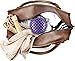 remodeez Travel Size Deodorizer, Odor Eliminator and Moisture Absorber for Small Spaces, Activated Charcoal Coconut Husks, Purple, Pack of 2