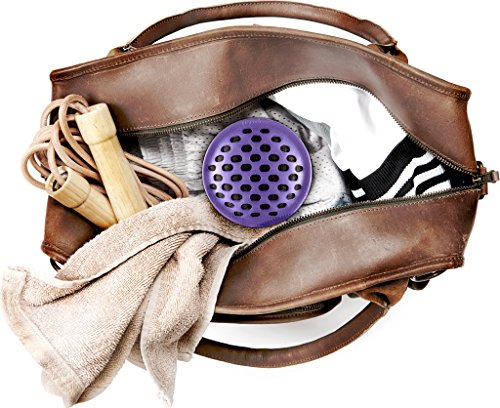 remodeez On-the-Go Deodorizer: Charcoal Odor and Moisture Remover, Purple (2 Pack)