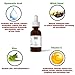 Hyaluronic Acid Serum, Anti-Aging, Anti-Wrinkle Serum with Vitamin C. Intensive Hydration, Plumps Skin, with Organic Aloe and MSM, for All Skin Types, All Natural and Organic, 1 Ounce.