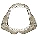 Exotic Environments Great White Shark Jaws, Small, 6-Inch by 3-1/2-Inch by 5-Inch