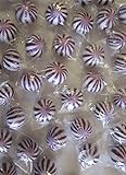 Purple n White Crazy Candy Balls 1 Pound